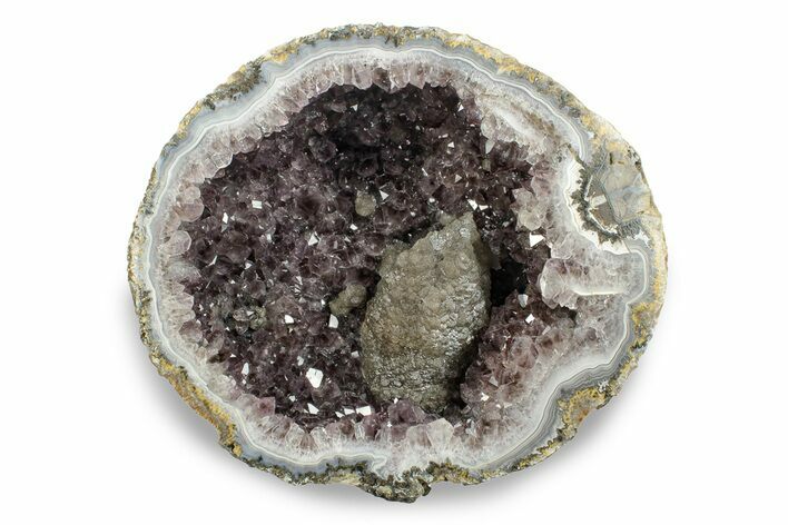 Amethyst Lined Las Choyas Coconut Geode Half - Mexico #246271